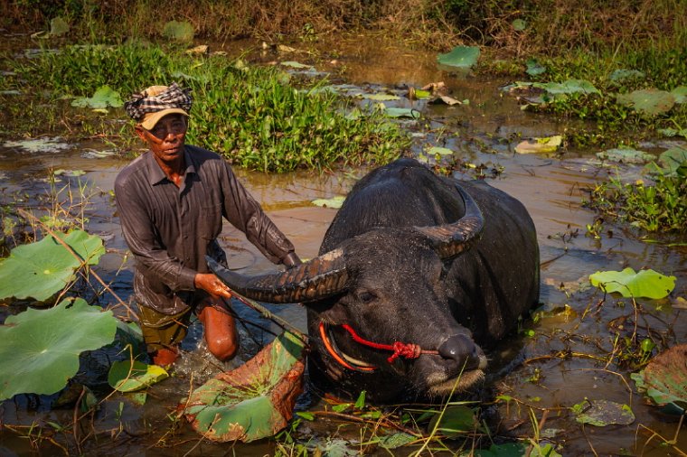 045 Cambodja, Siem Reap.jpg